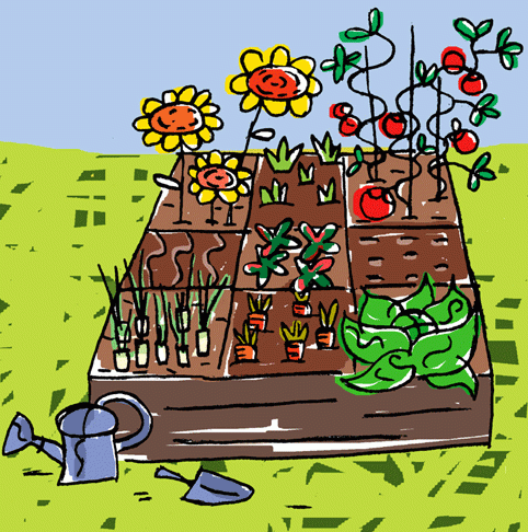 image-petit-site-potager-we_482x486_acf_cropped