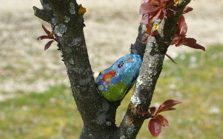 Camping Le Rêve - Profitez de Pâques en famille autour d'une chasse aux oeufs