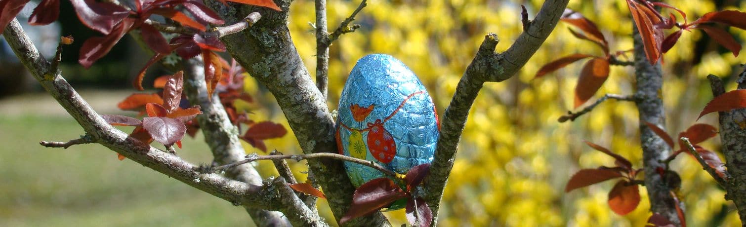 Atelier créatif pour enfants - Camping Le Rêve*** (Lot, Occitanie)