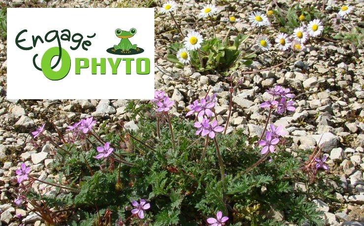 Camping Zéro phyto - Engagement protection de la nature