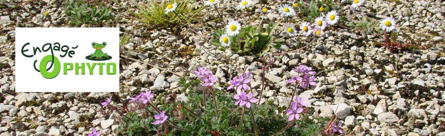 Camping Zéro phyto - Engagement protection de la nature