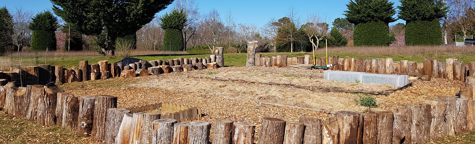 Semis du potager - Potager