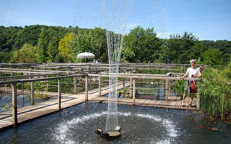 Surprise offers - Water garden in Carsac